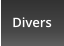 Divers